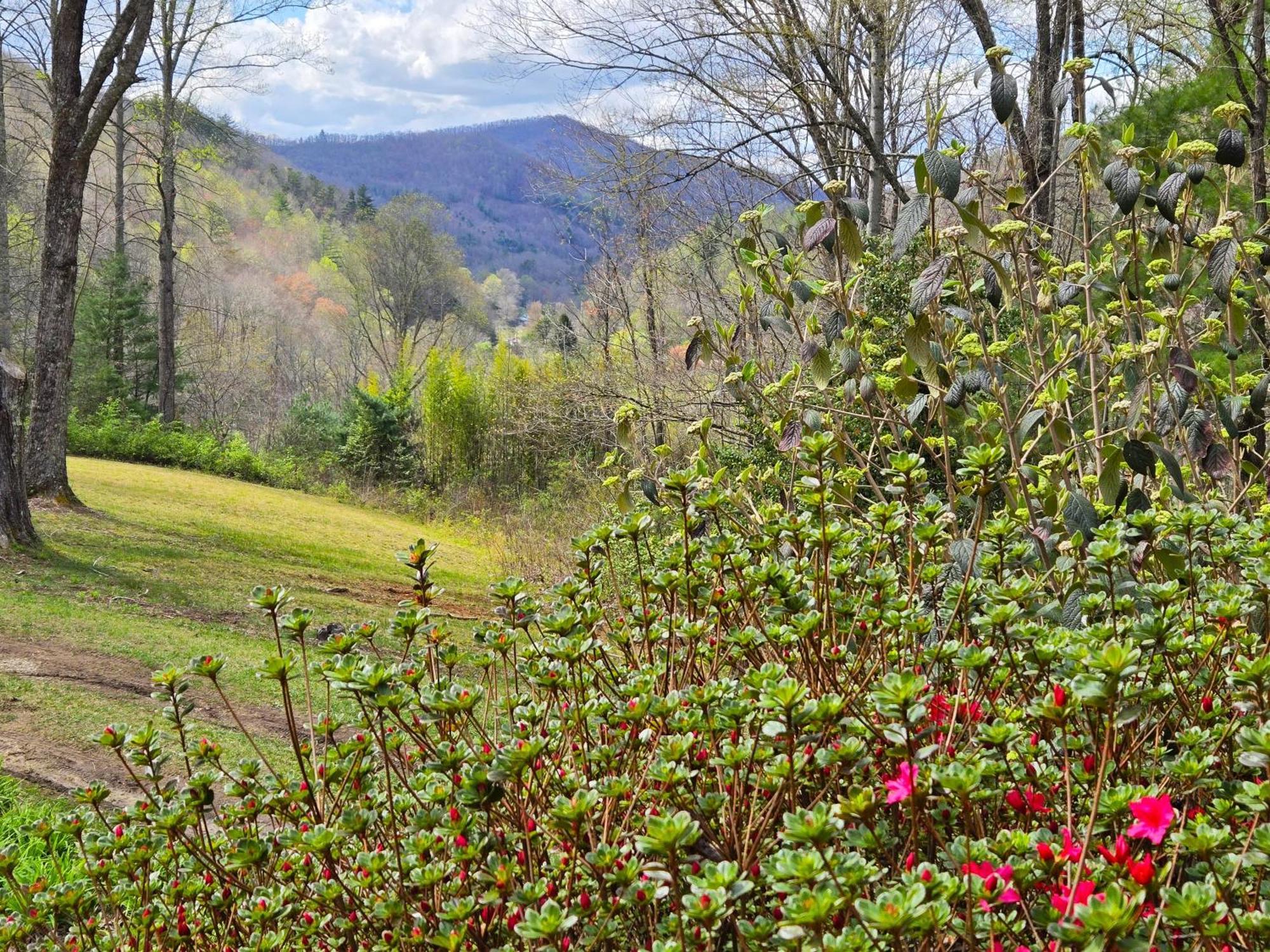 Bryson City Creekside Home With Hot Tub- 3 Bedroom-2 Bath Home Exterior foto